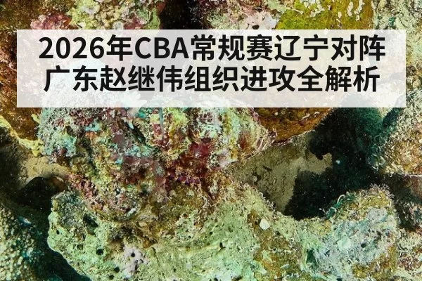 2026年CBA常规赛辽宁对阵广东赵继伟组织进攻全解析