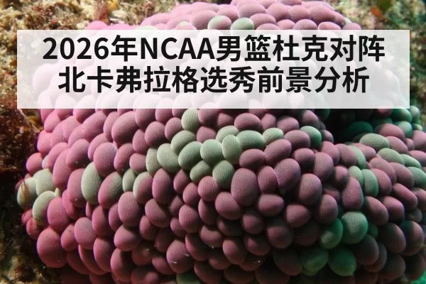 2026年NCAA男篮杜克对阵北卡弗拉格选秀前景分析